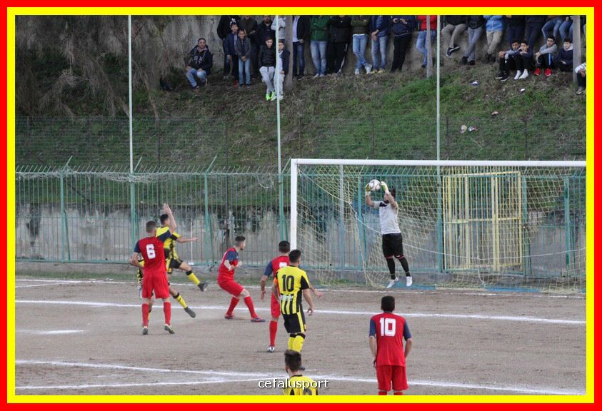 181111 Cepha_Milazzo 224_tn.JPG